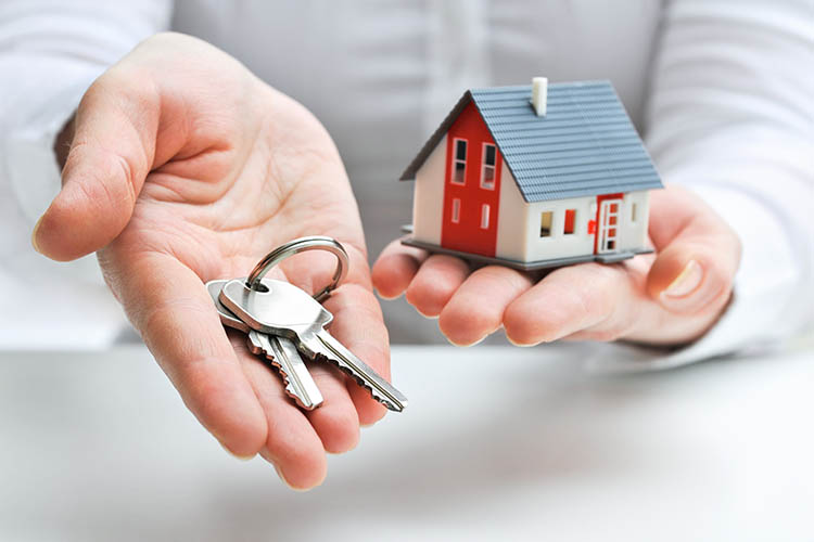 Agence immobilière, Trouy<br>Agence spécialisée dans l’immobilier, Trouy<br>Service d’agence immobilière, Trouy